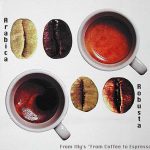 Arabica vs. Robusta
