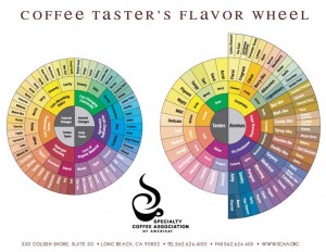 Coffee Tasters Flavor Wheel ©1995 Specialty Coffee Association of America