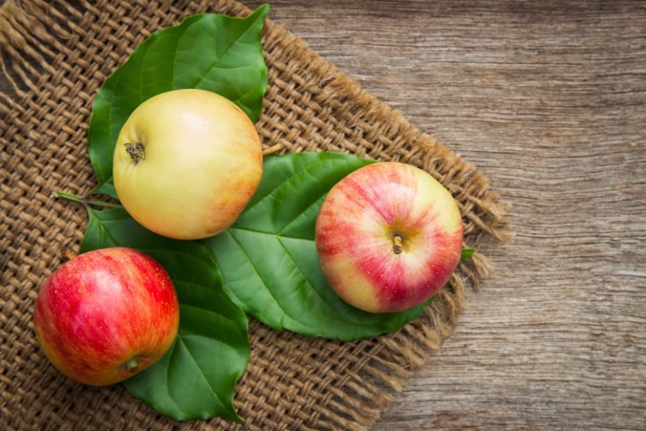 Photo by Aphiwat chuangchoem: https://www.pexels.com/photo/close-up-photo-of-red-and-yellow-apple-fruits-on-green-leaves-347926/